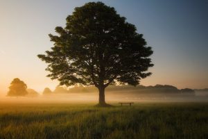 The best content for social media to make sales
